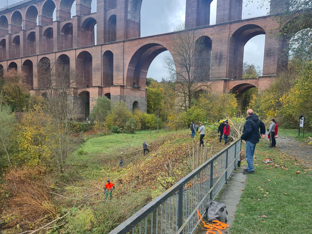 Arbeitseinsatz Kettensäge